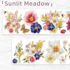 Pre-cut Sunlit Meadow Wide PET Tape
