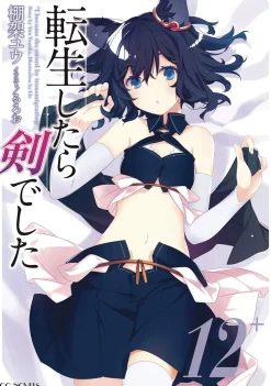 Reincarnated as a Sword: Another Wish Vol. 4