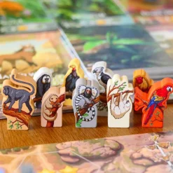 Rewild: South America