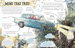 Ron Weasley: The must-have Christmas stocking filler for Potter fans!