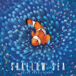 Shallow Sea