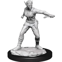 Shifter Female Rogue (Wave 13) Dungeons & Dragons Nolzurs Marvelous Unpainted Miniature Figur