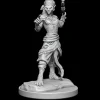 Shifter Fighter (Wave 20) Dungeons & Dragons Nolzurs Marvelous Unpainted Miniature
