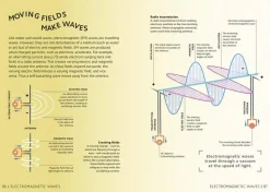 Simply Physics: Facts Made Fast