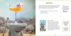 Spirits of the Tarot: From The Cups' Abundance to The Magician's Creation, 78 Cocktail Recipes Inspired by the Tarot