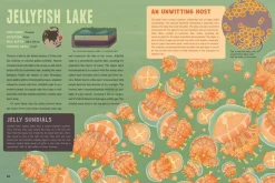 Spooky Lakes: 25 Strange and Mysterious Lakes that Dot Our Planet