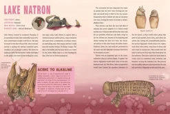 Spooky Lakes: 25 Strange and Mysterious Lakes that Dot Our Planet