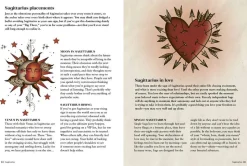 Stuff Your Astrologer Should Have Told You: The Brutally Honest Truth Behind the Bad Traits of Each Star Sign