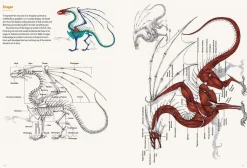 The Art of Fantasy: A Complete Step-by-Step Guide to Drawing Characters and Concept Design