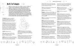 The Book of Divination: A Guide to Predicting the Future