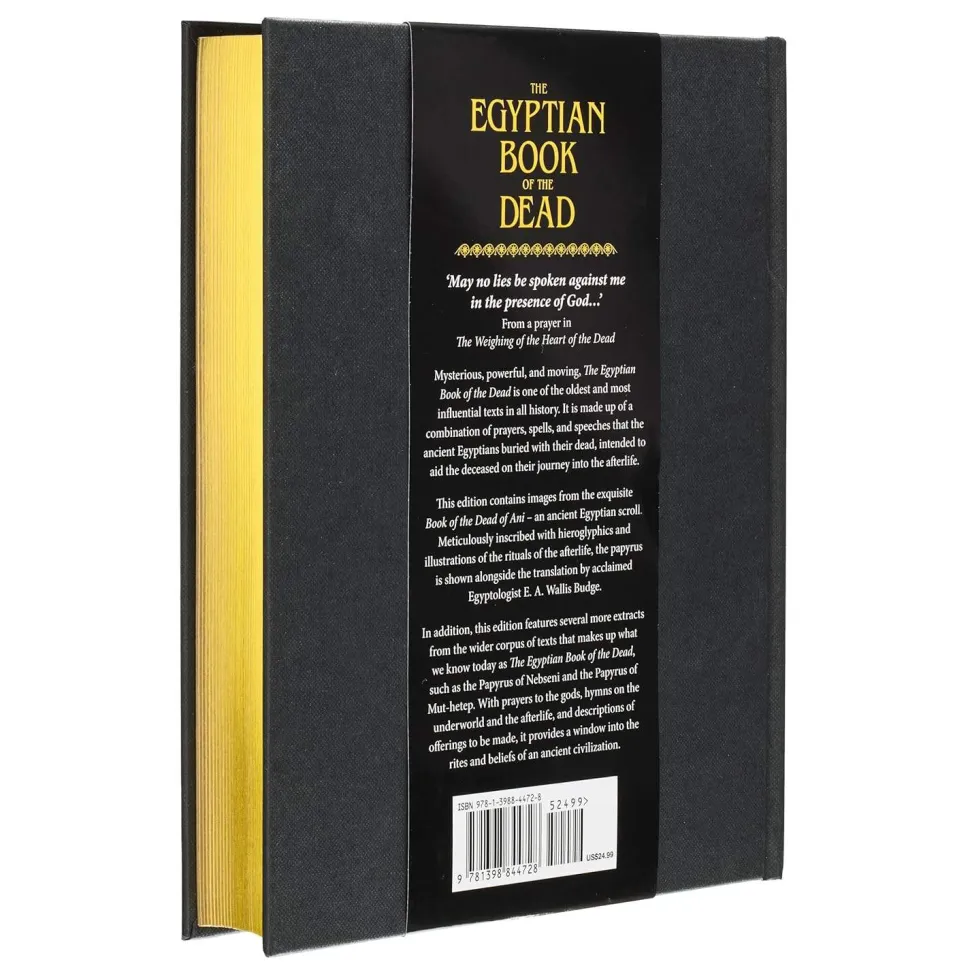 The Egyptian Book of the Dead: Wisdom of the Ancient Papyrus of Ani