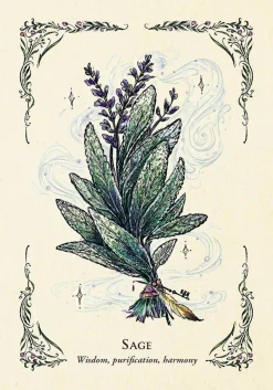 The Green Witch's Oracle Deck: Embrace the Wisdom and Insight of Natural Magic