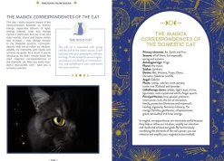 The Magick of Cats: The Cat Lover's Guide to Enchanted Feline Energy