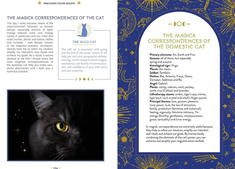 The Magick of Cats: The Cat Lover's Guide to Enchanted Feline Energy