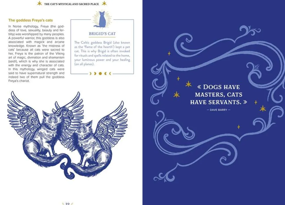The Magick of Cats: The Cat Lover's Guide to Enchanted Feline Energy