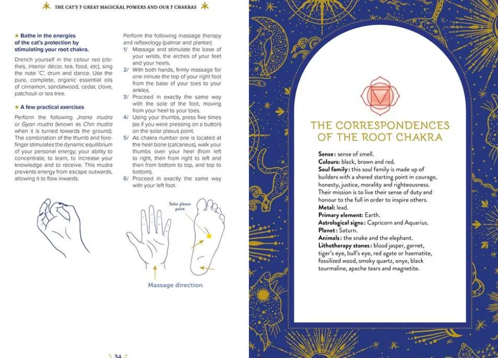 The Magick of Cats: The Cat Lover's Guide to Enchanted Feline Energy