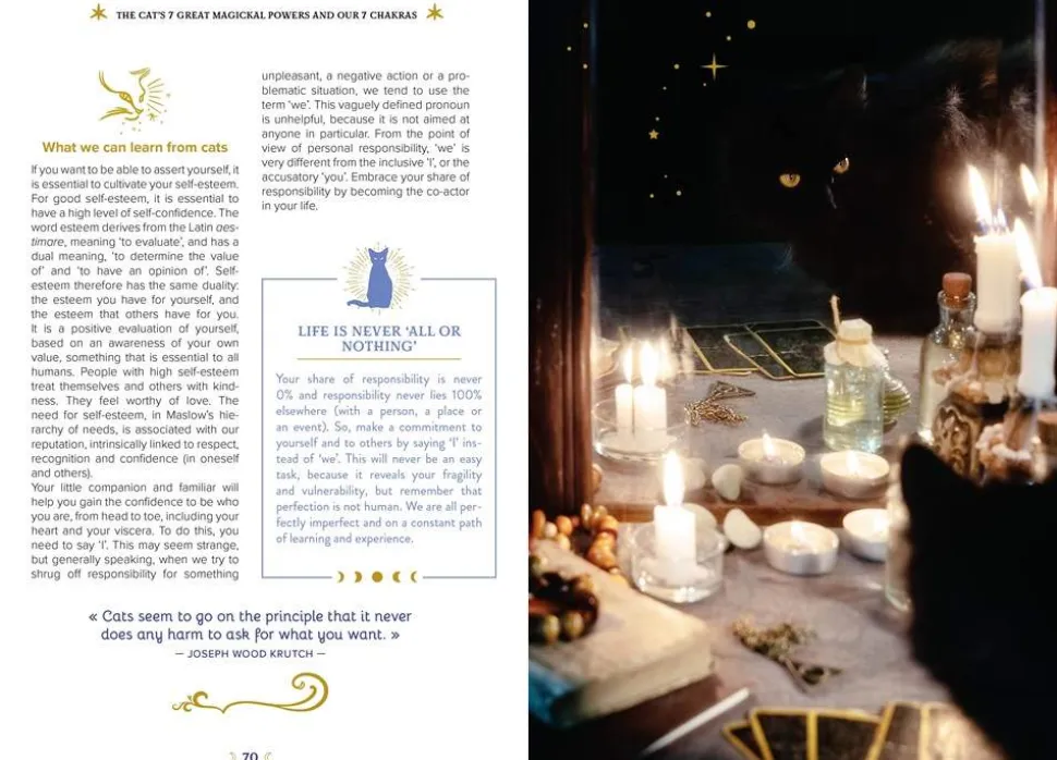 The Magick of Cats: The Cat Lover's Guide to Enchanted Feline Energy