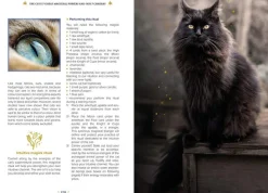 The Magick of Cats: The Cat Lover's Guide to Enchanted Feline Energy
