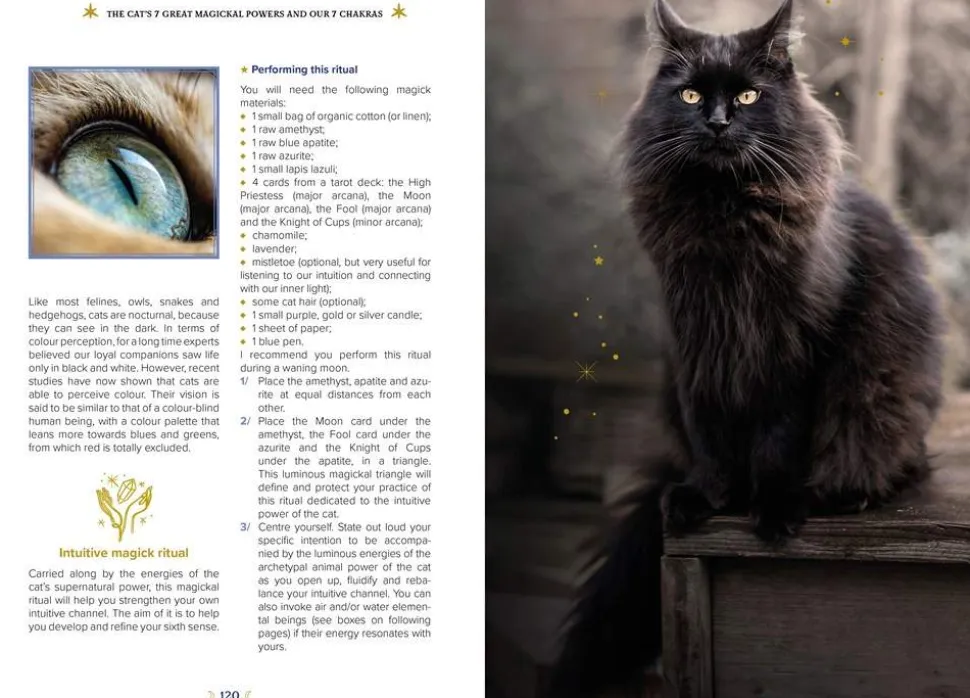 The Magick of Cats: The Cat Lover's Guide to Enchanted Feline Energy