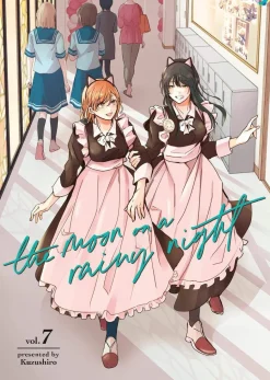 The Moon on a Rainy Night 7