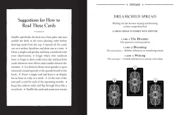 The Phantomwise Tarot: A 78-Card Deck and Guidebook: Tarot Cards