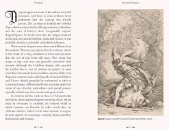 The Pocket Book of Dragons: Myth, Magic and Meaning