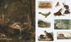 The Sticker Treasury of Woodland Adventures: An eclectic book of stickers for journaling, collaging, scrapbooking and more