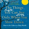 The Things You Can See Only When You Slow Down: How to be Calm in a Busy World