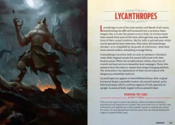 The Young Adventurer's Collection Box Set 2 (Dungeons & Dragons 4-Book Boxed Set): Beasts & Behemoths, Dragons & Treasures, Places & Portals, Artificers & Alchemy