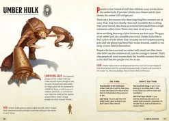 The Young Adventurer's Collection Box Set 2 (Dungeons & Dragons 4-Book Boxed Set): Beasts & Behemoths, Dragons & Treasures, Places & Portals, Artificers & Alchemy