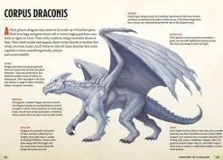 The Young Adventurer's Collection Box Set 2 (Dungeons & Dragons 4-Book Boxed Set): Beasts & Behemoths, Dragons & Treasures, Places & Portals, Artificers & Alchemy