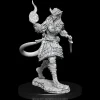 Tiefling Female Sorceror (Wave 15) Dungeons & Dragons Nolzurs Marvelous Unpainted Miniature Figur