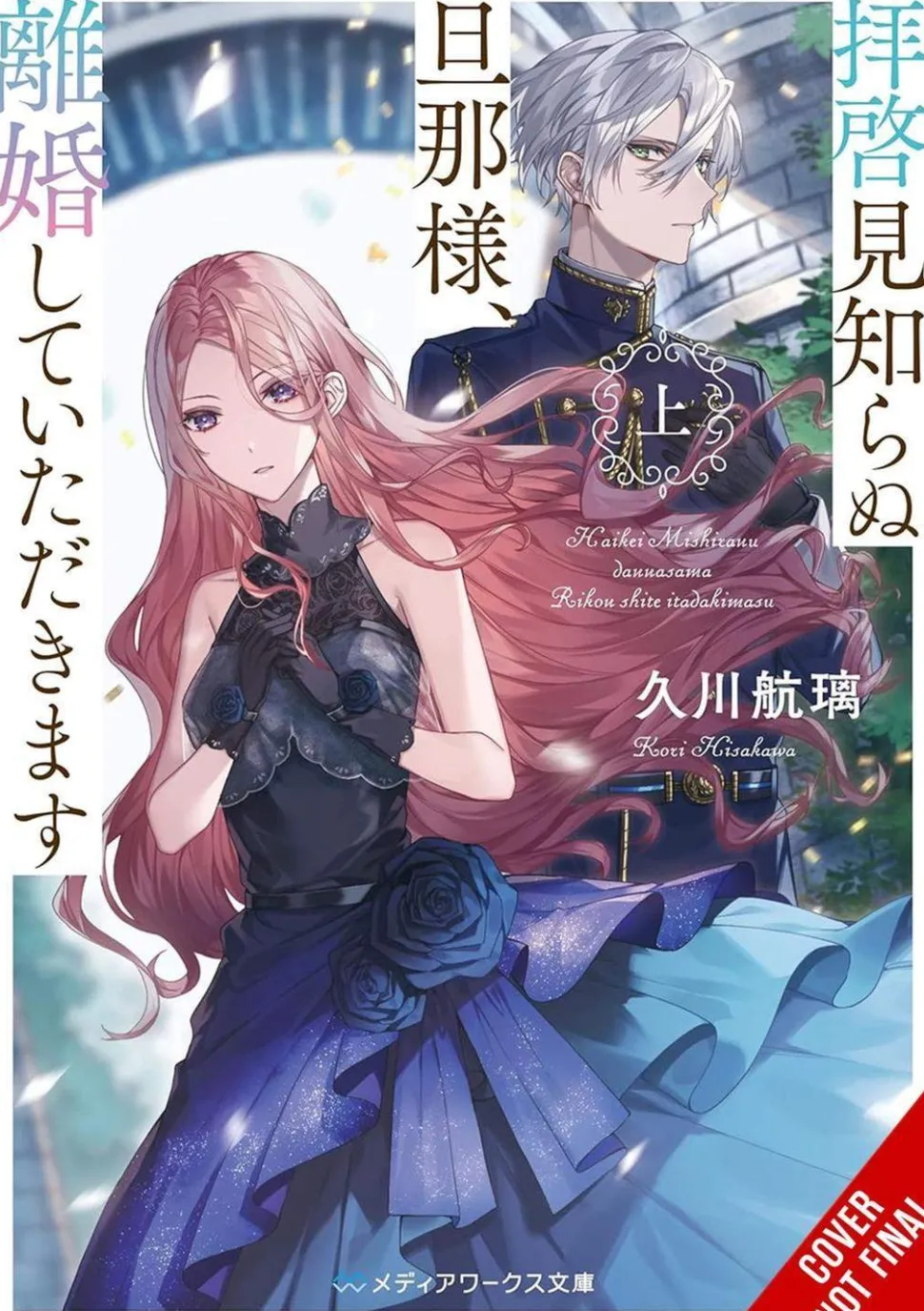 To Sir Without Love Im Divorcing You Novel vol. 1