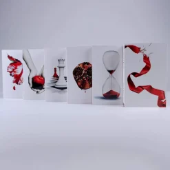 Twilight Saga 6 Book Set (White Cover)