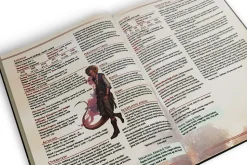 Ultimate NPCs Skulduggery HC