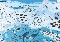 Where’s Attenborough?