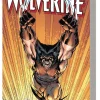 Wolverine Epic Collection: Back To Basics