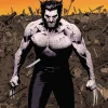 Wolverine Max Vol. 1: Permanent Rage