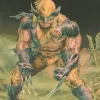 Wolverine Origins: Romulus